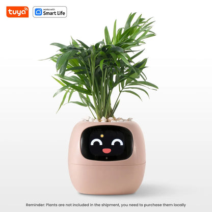 OMK Smart Planter