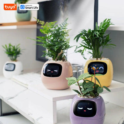 OMK Smart Planter