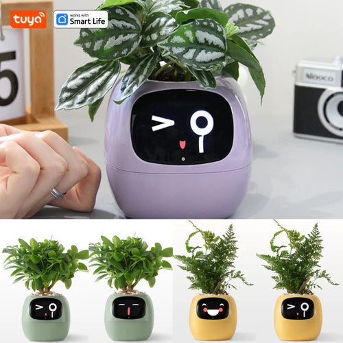 OMK Smart Planter