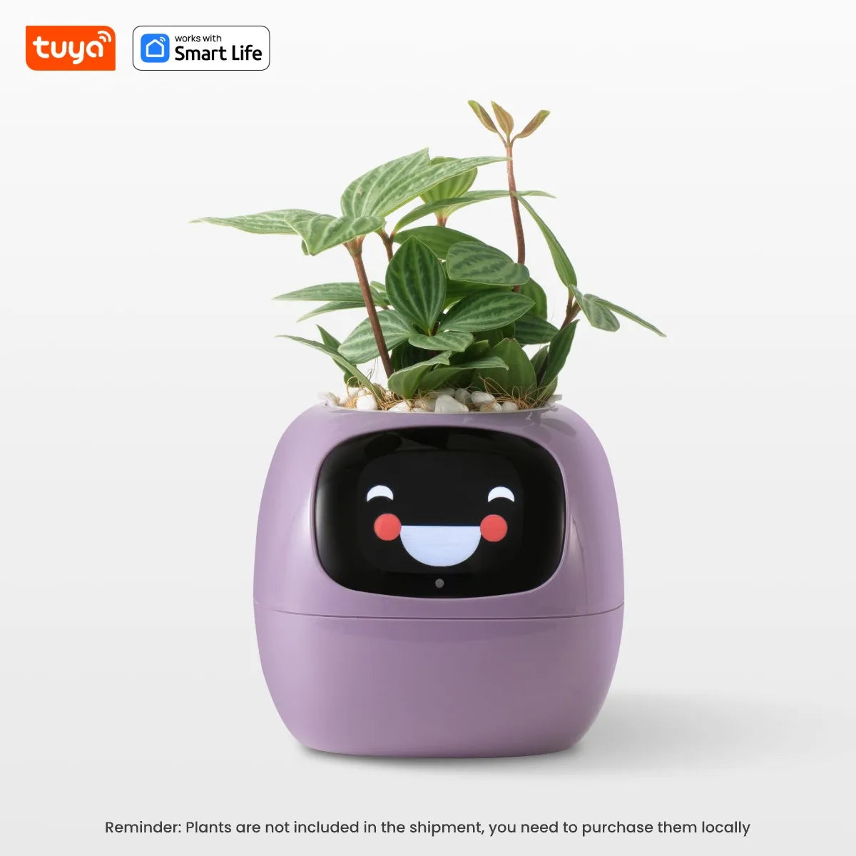 OMK Smart Planter