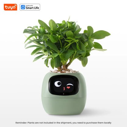 OMK Smart Planter